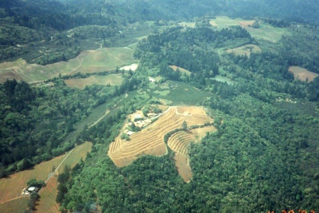 ArielView